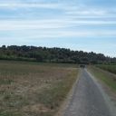 Dans l'Hérault même les chemins des vignes sont refaits  