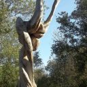 un arbre sculpté  