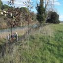 le canal