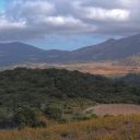 qui peignent avec le soleil