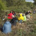 la pause au soleil d'hiver