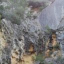 les couleurs sont surprenantes