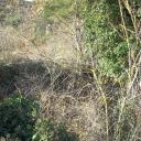 traversée d'un gué