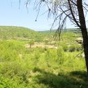 IMG_20260607_133845.jpg